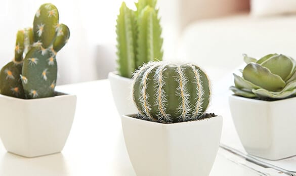 left image description